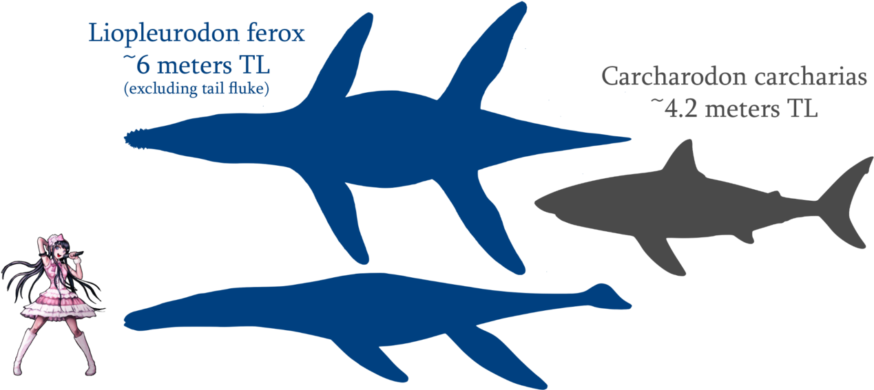 Liopleurodon And Great White Size Comparison By Spinoinwonderland - Crocodile Vs Great White Shark (1311x609)