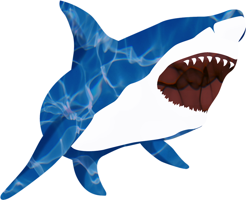 Great White Shark Isurus Oxyrinchus Shark Tooth Requiem - Great White Shark Isurus Oxyrinchus Shark Tooth Requiem (909x720)