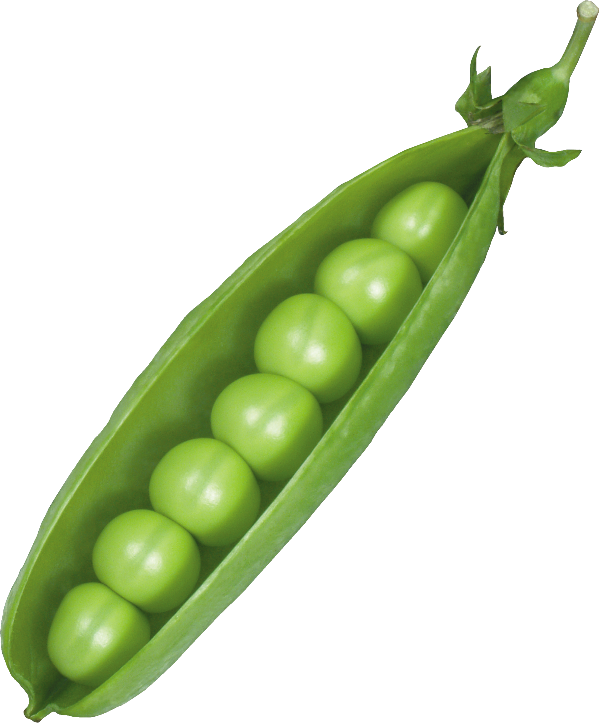 Class Picturespea Podsretro Foodsweet Peaspretty Picturesfood - Peas In A Pod Png (2050x2475)