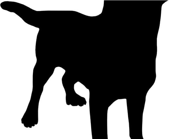 Black Dog Clipart - Labrador Retriever Shower Curtain (640x480)