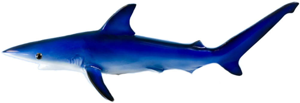 Home Sellbrite 2017 02 19t19 - Corkscrew (1024x770)