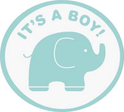 Babyboy-01 - Baby Shower (423x381)