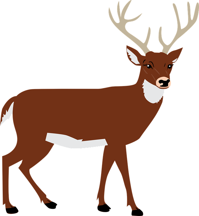 Collection Of Reindeer Cliparts Side - Deer Silhouette Png (663x720)