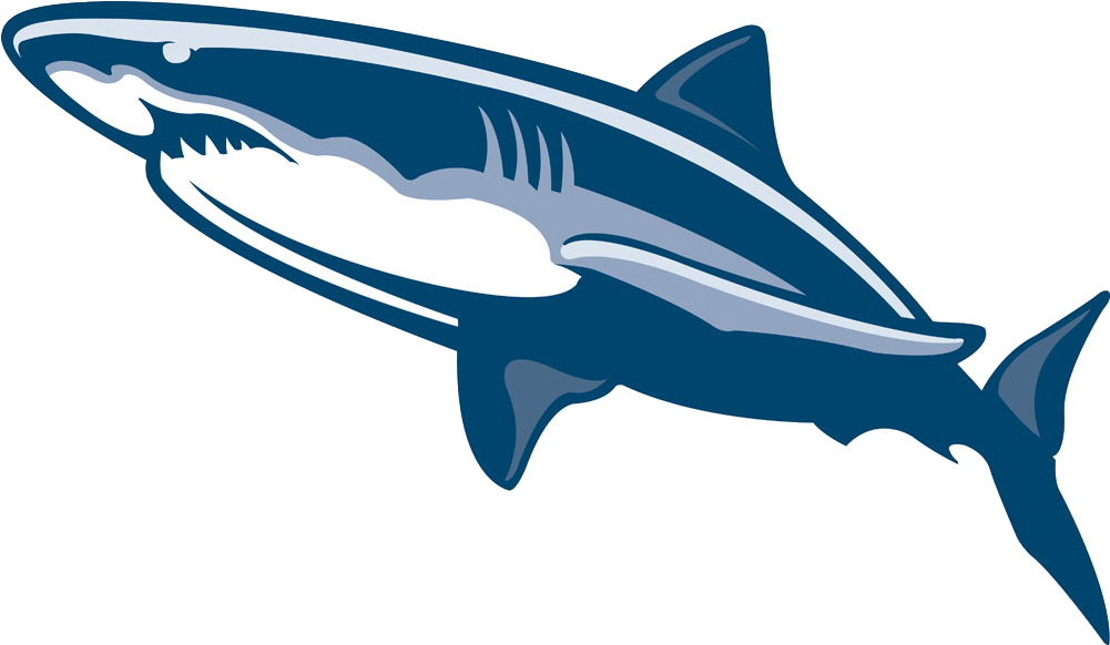 Shark Fish Drawing Illustration - Shark Fish Drawing Illustration (1249x1077)