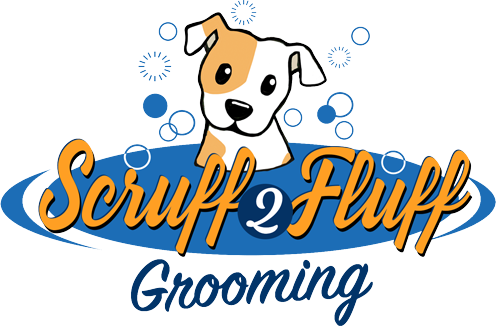 My Story - Lost Art Of Closing - Winning The Ten Commitments That (496x326)