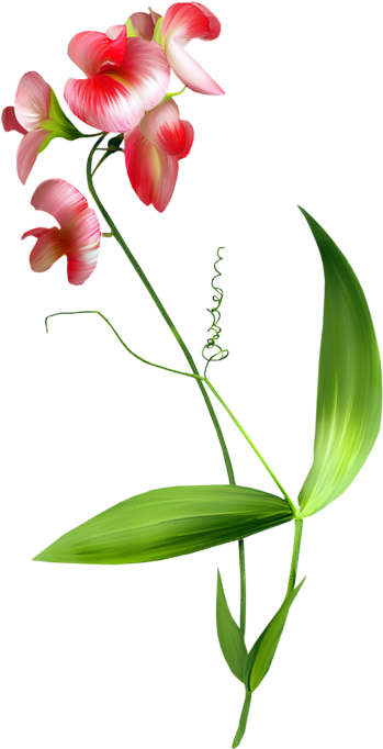 Flower Blume Clip Art - Flower Blume Clip Art (366x699)