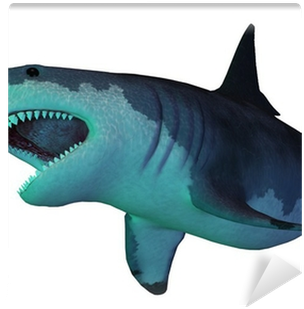 Shark From The Cenozoic Era (400x400)