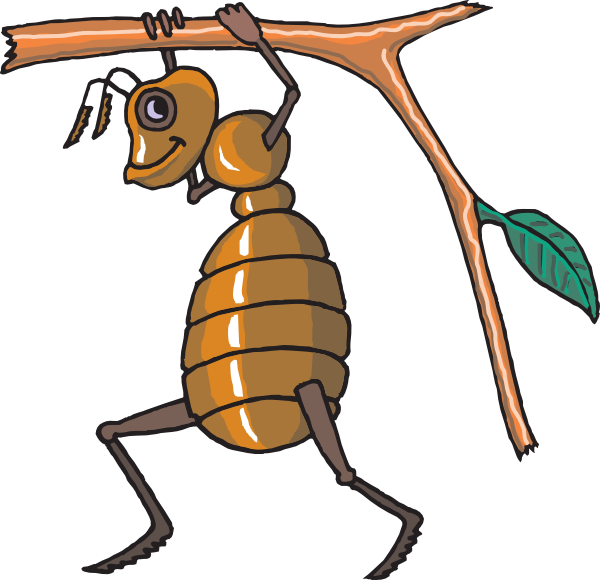 Free Vector Bee (600x580)