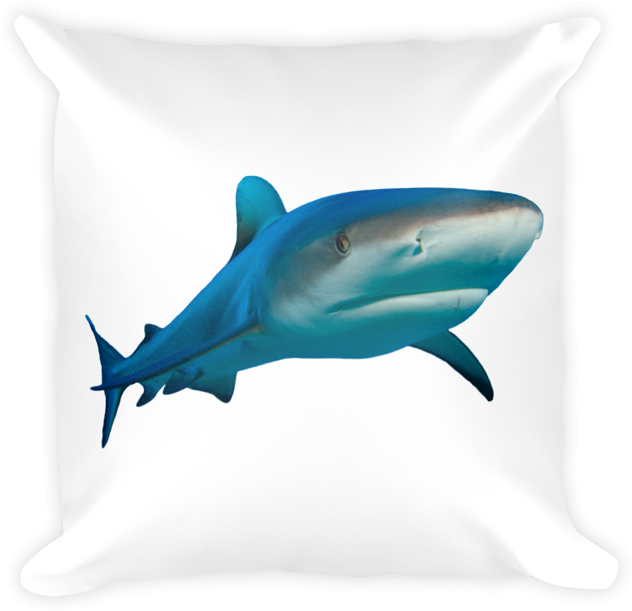 Great White Shark Print Square Pillow - Great White Shark (1000x1000)