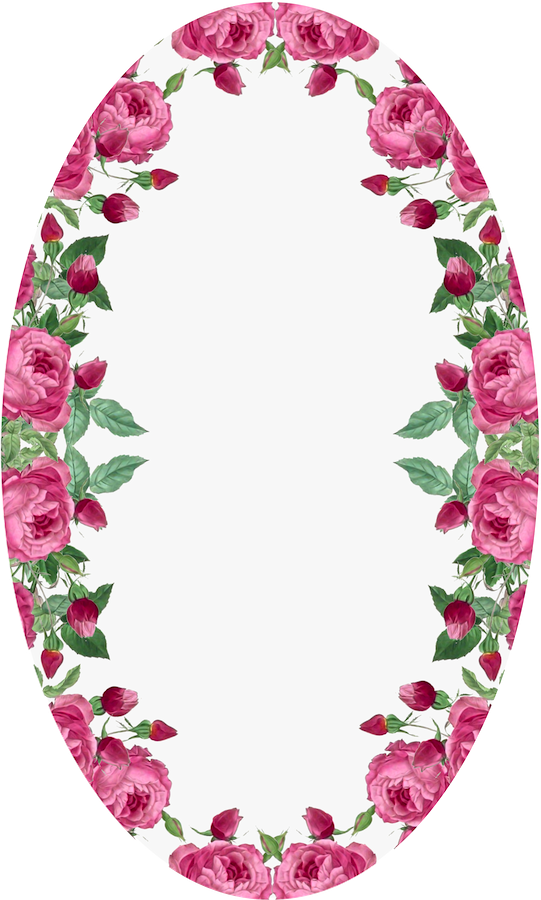Frame - Oval Red Rose Frame (541x900)