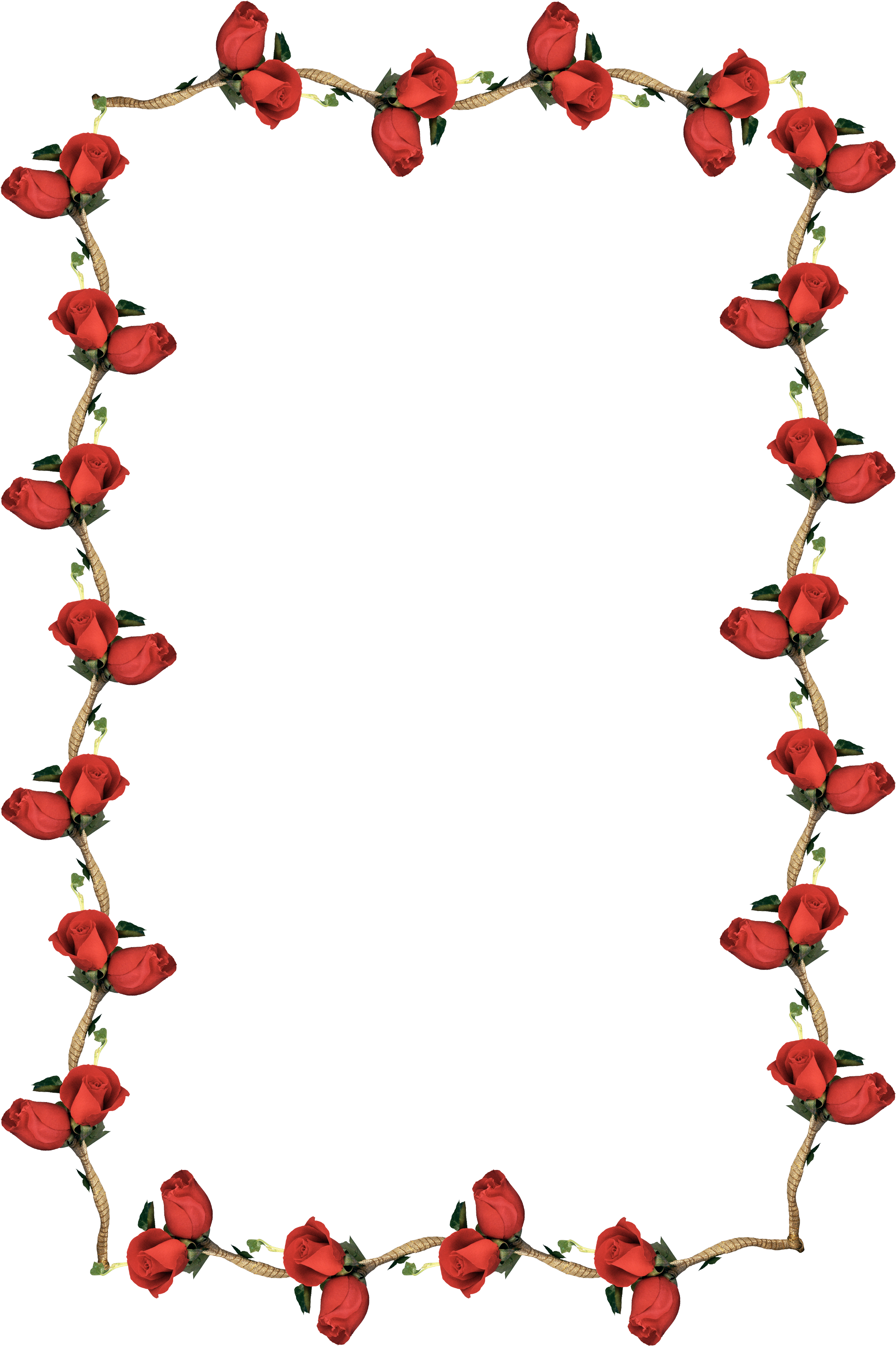 Red Roses Border Transparent (2500x3000)