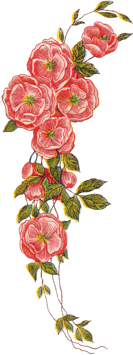 Drawn Vintage Flower Transparent - Vintage Flower Design Png (516x1248)