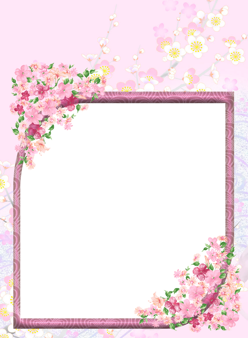 Pink Transparent Flowers Png Photo Frame - Special Prayer For Wednesday (855x1166)