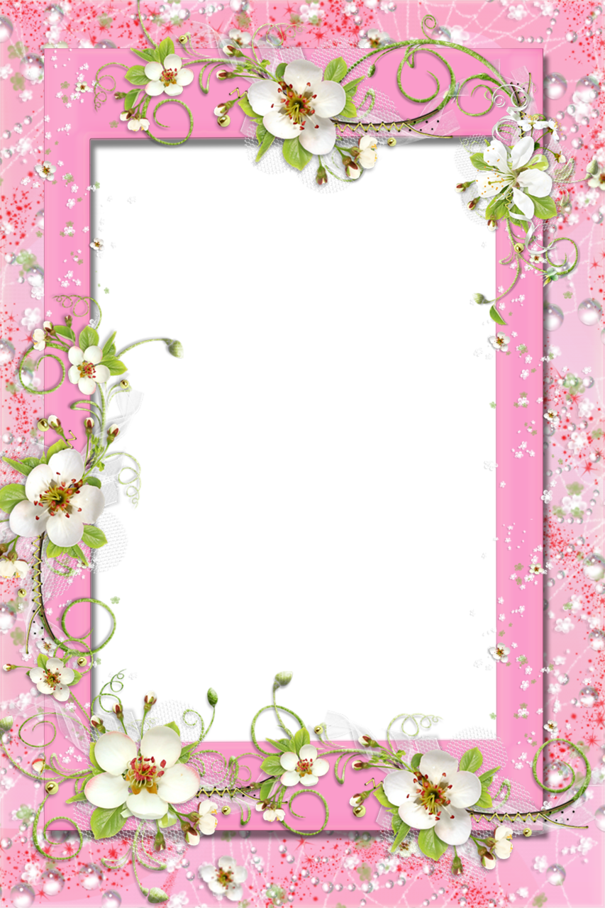 Delicate Pink Photo Frame With Floral Flower Decorations - White Flowers Borders Hd (853x1280)