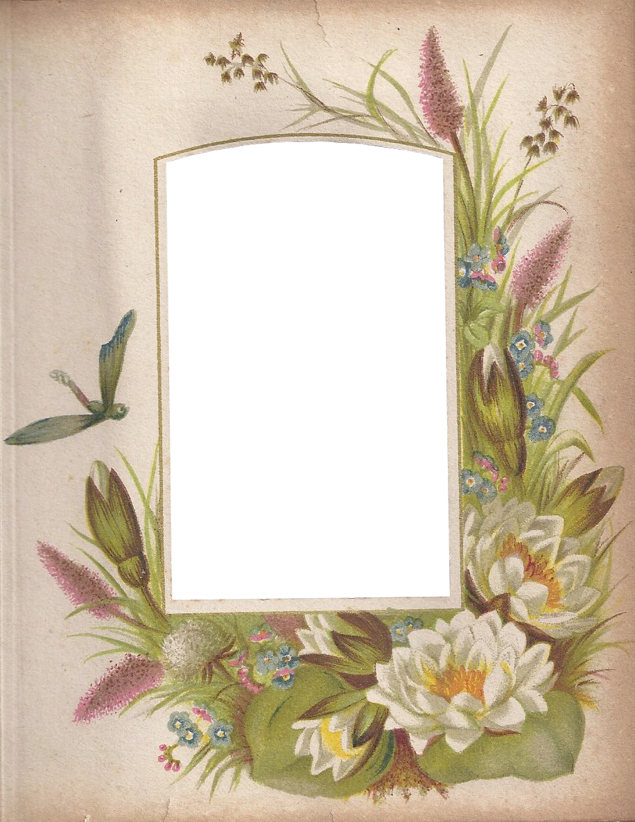 Victorian Photo Album Floral Frame ~ Zibi Vintage Scrap - Photograph (916x1186)