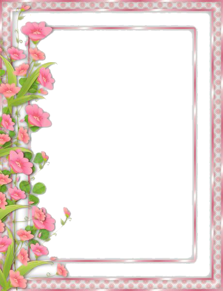 Flowers Borders Png Picture - Pretty Borders For Paper (460x600)
