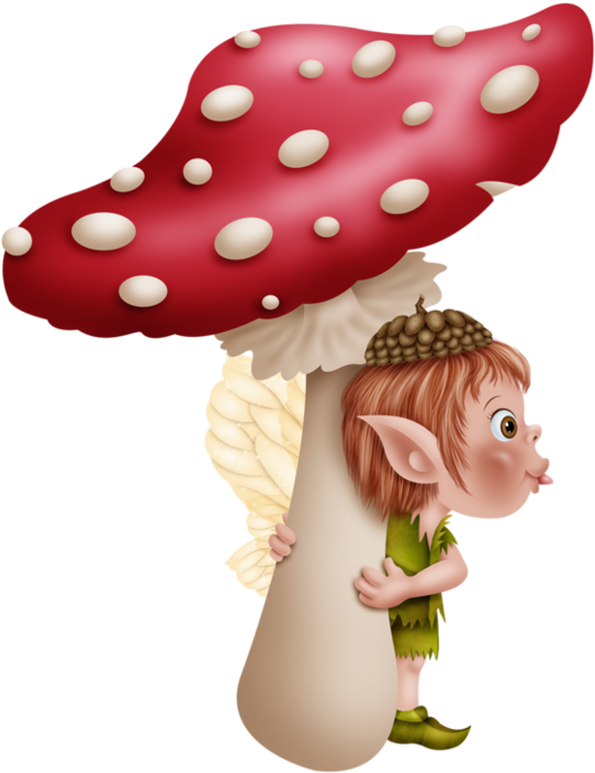 Image Du Blog Zezete2 - Mushroom (600x774)