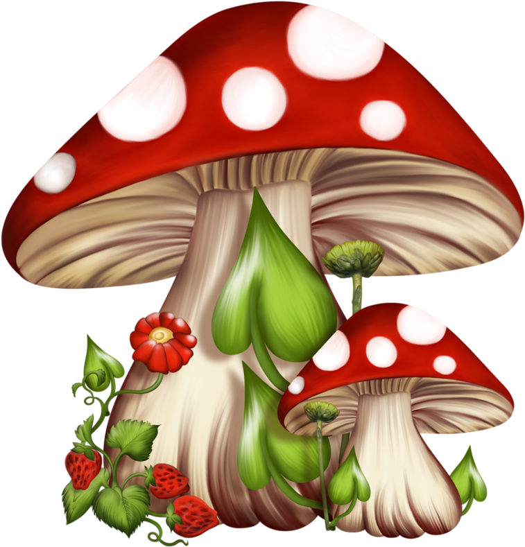 Rock Painting - Mushroom Clipart (768x800)