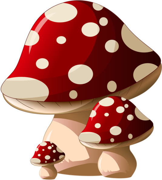 Mushroom Housefairy - Mushroom Fairy Png Transparent (600x621)