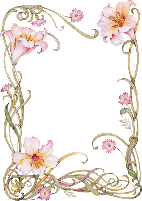 Lilies Frame - Floral Frame (482x682)