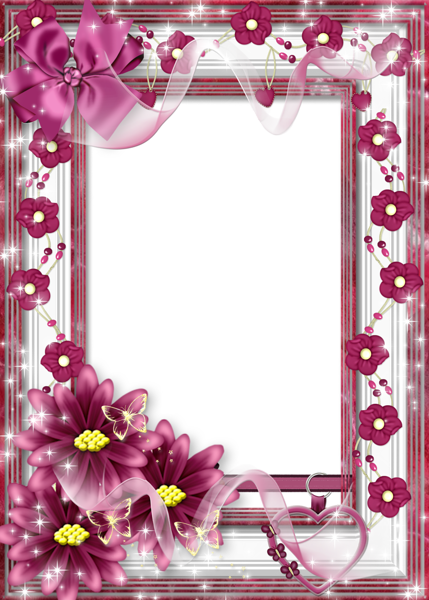 Beautiful Flower Transparent Frame With Pink Bow - Beautiful Frames For My (429x600)