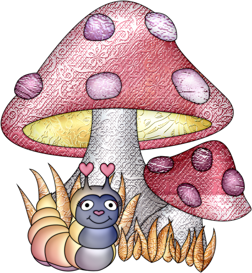 B *✿* Mystical Journey - Edible Mushroom (907x1024)