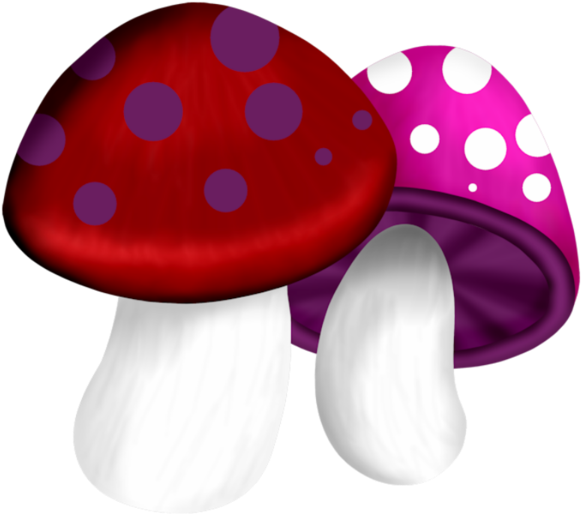 Mushroomsgnomesfairy Gardeningfairies Gardenmushroom - Mushroom (600x551)