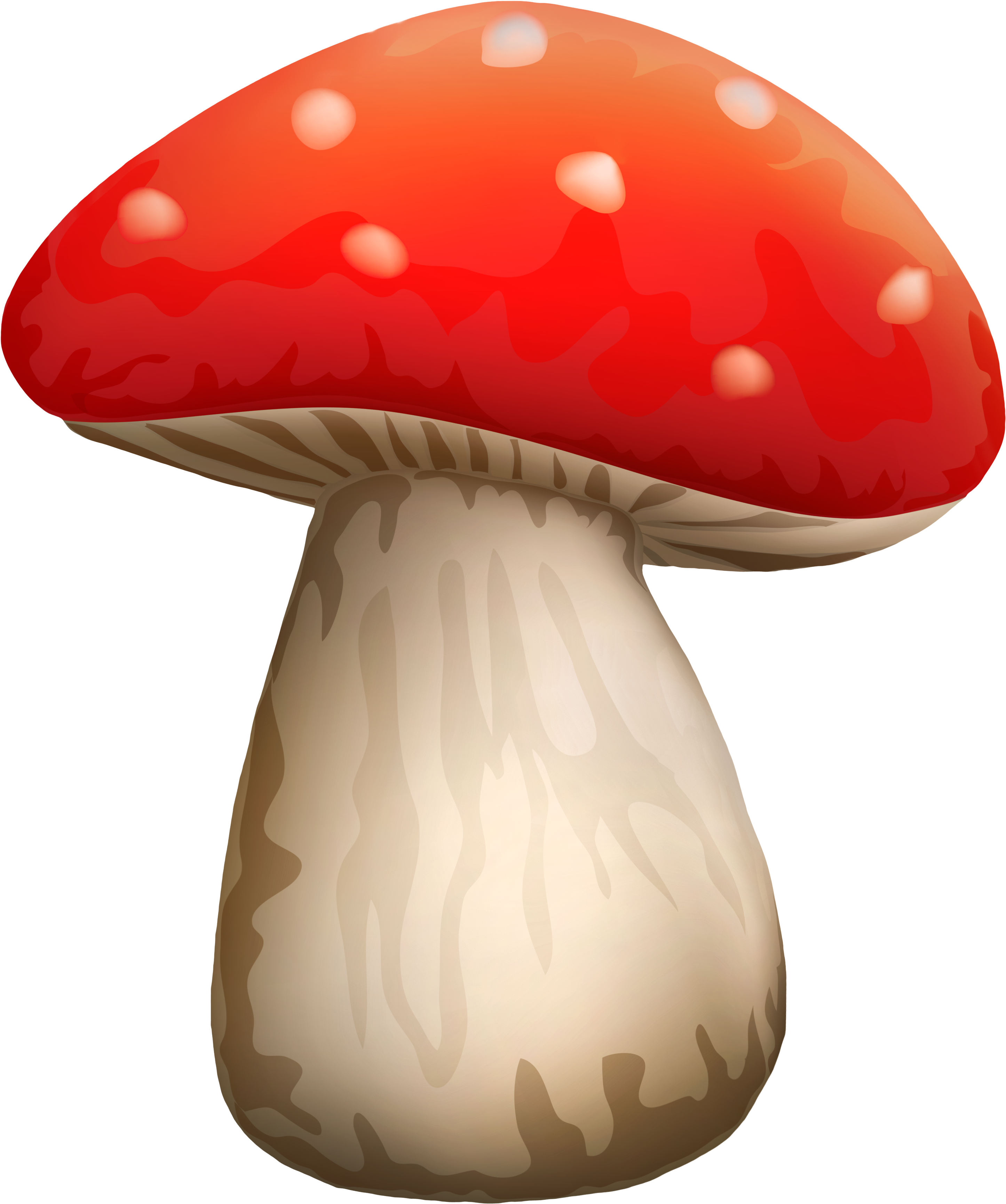 Poisonous Red Mushroom With White Dots Png Clipart - Mushroom Png (3251x3825)