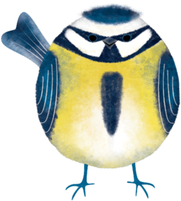 Nick Bakers Nesting Favourites Ci Dt Item2 - Nesting Instinct (325x444)