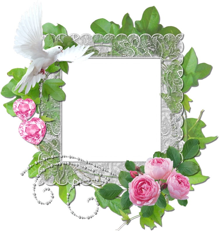 Pink Roses Cluster Frames - Picture Frame (800x800)