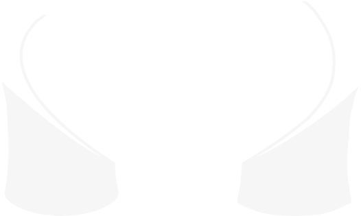 Polo Shirt - Polo Shirt (650x337)
