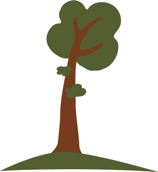 Well, After About 100 Years Of Growth, That Oak Tree - Illustration (529x577)