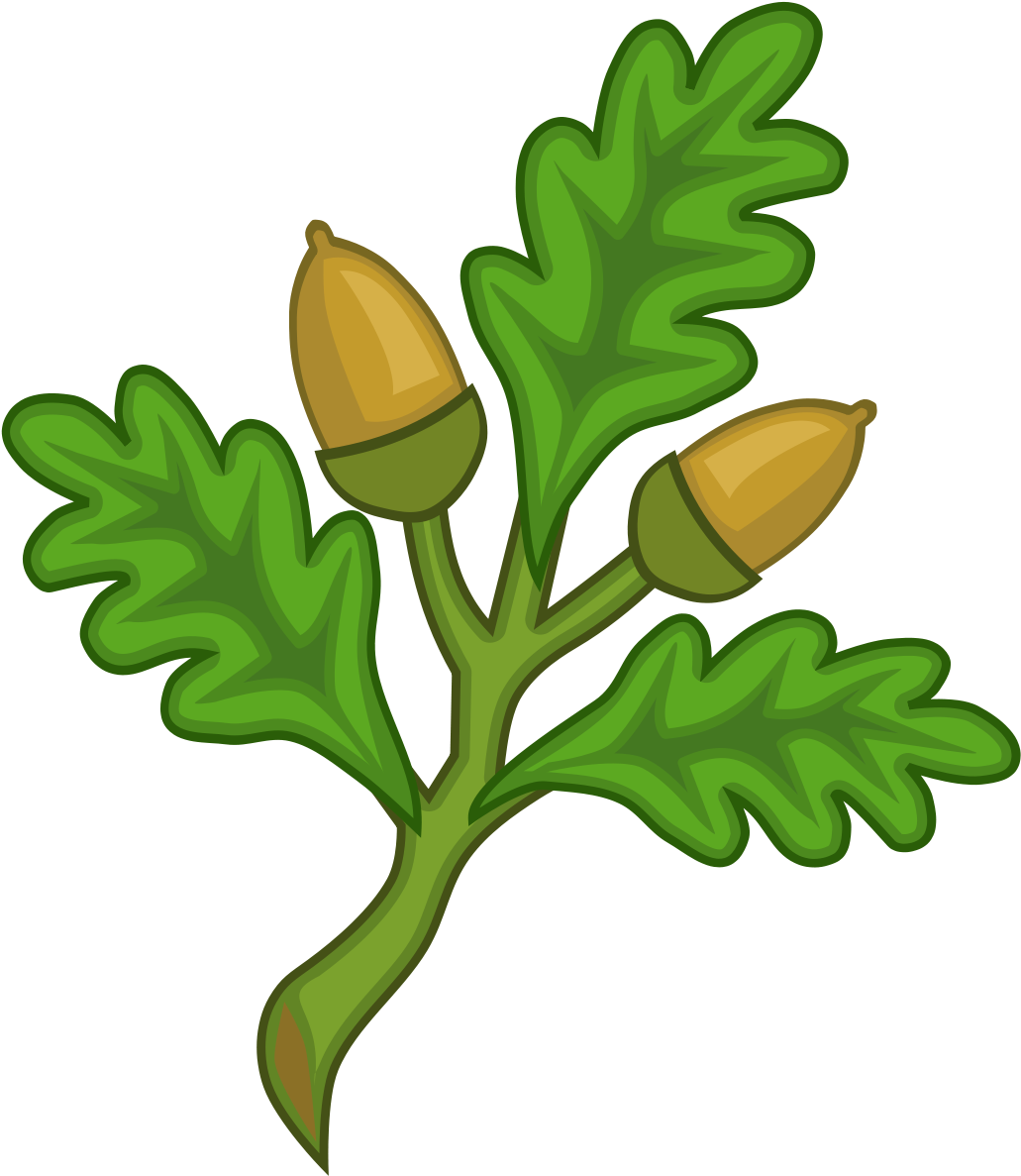 Sprig Of Oak Heraldry (1200x1200)
