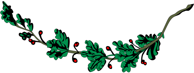 Branch, Leaf, Leafy, Leaves, Oak, Plant - Branch (680x340)