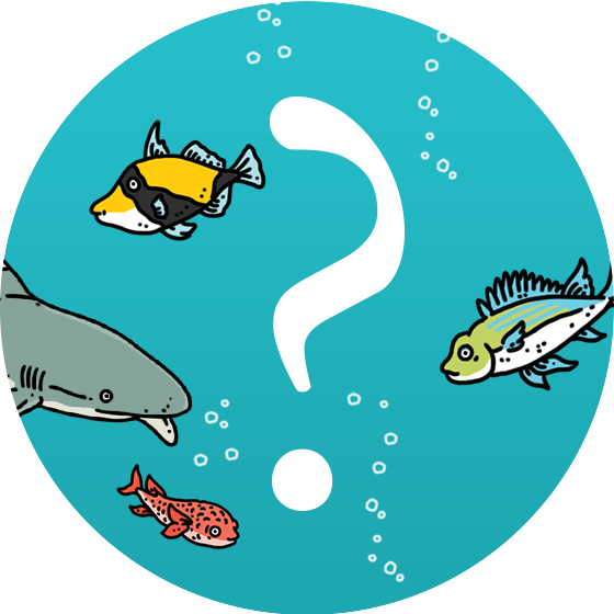 The What On Earth Timeline Of British History Ten Question - What On Earth Books (560x560)