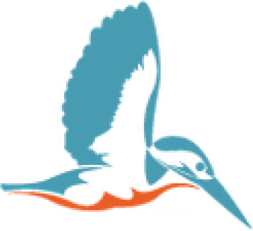 Kingfisher Free Silhouette (512x512)