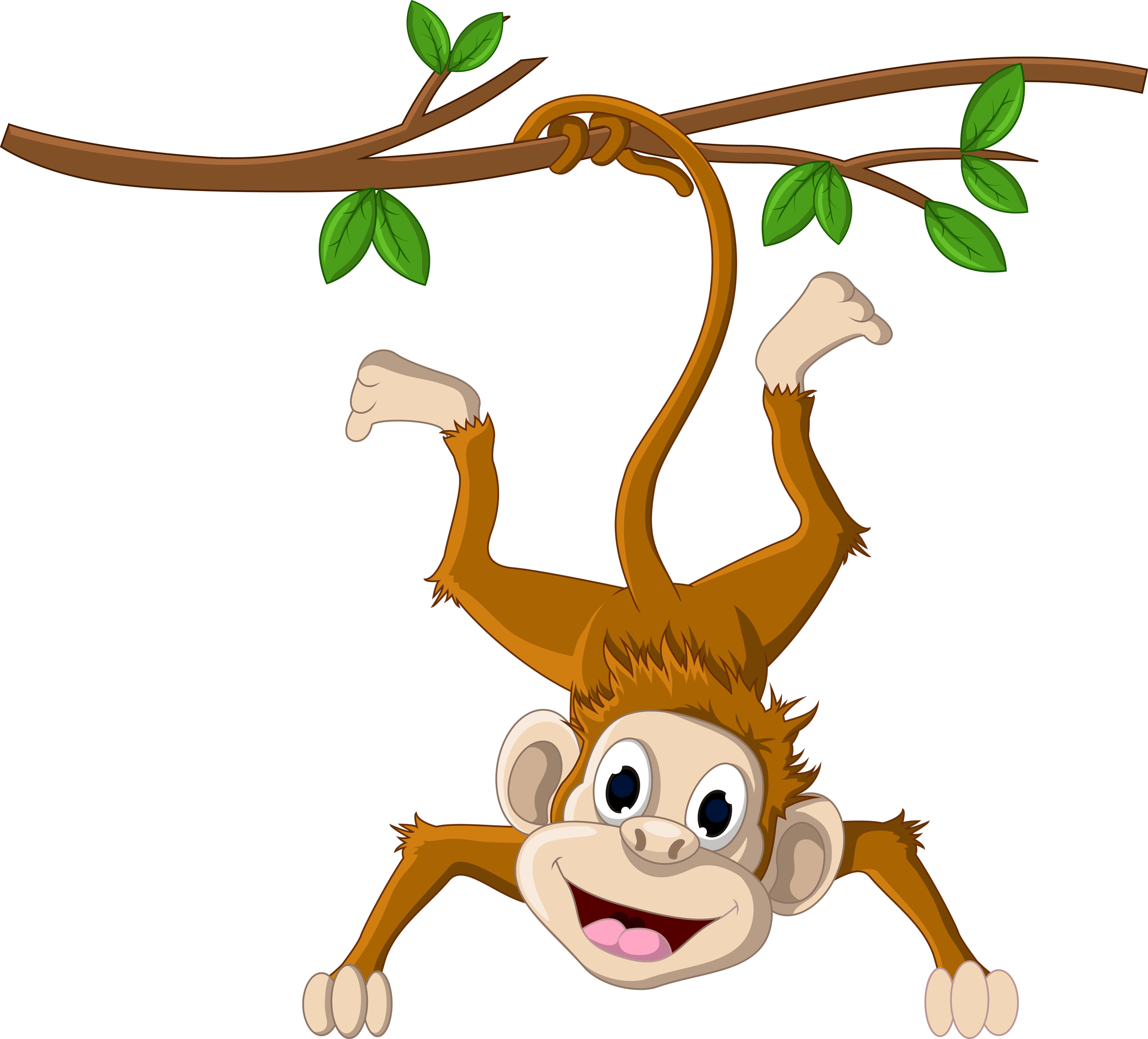 Monkey, Album, Tags, Bacon, Chocolates, Coffee, Animales, - Hanging Monkey Cartoon Png (2500x2262)