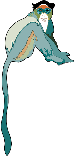 Fur Monkey, Colors, Sitting, Colorful, Animal, Tail, - Color (320x640)