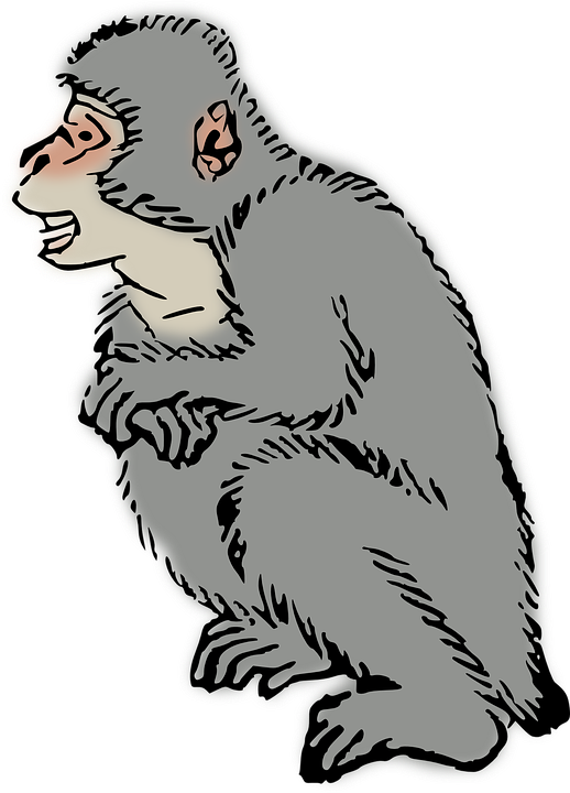 Black Monkey Cliparts 29, Buy Clip Art - Custom Monkey Shower Curtain (518x720)
