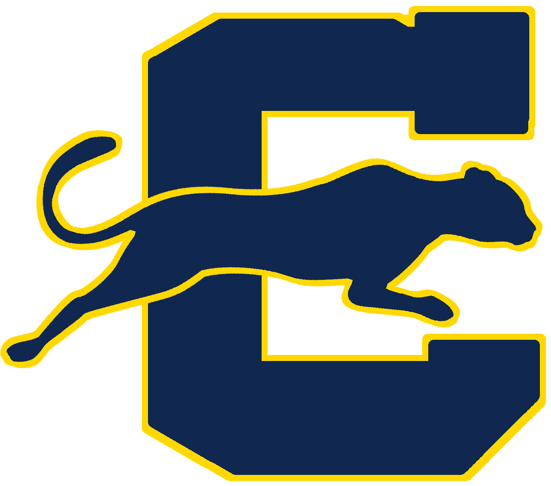 Clay County Logo - Clay County Panthers Football Logo (1091x964)