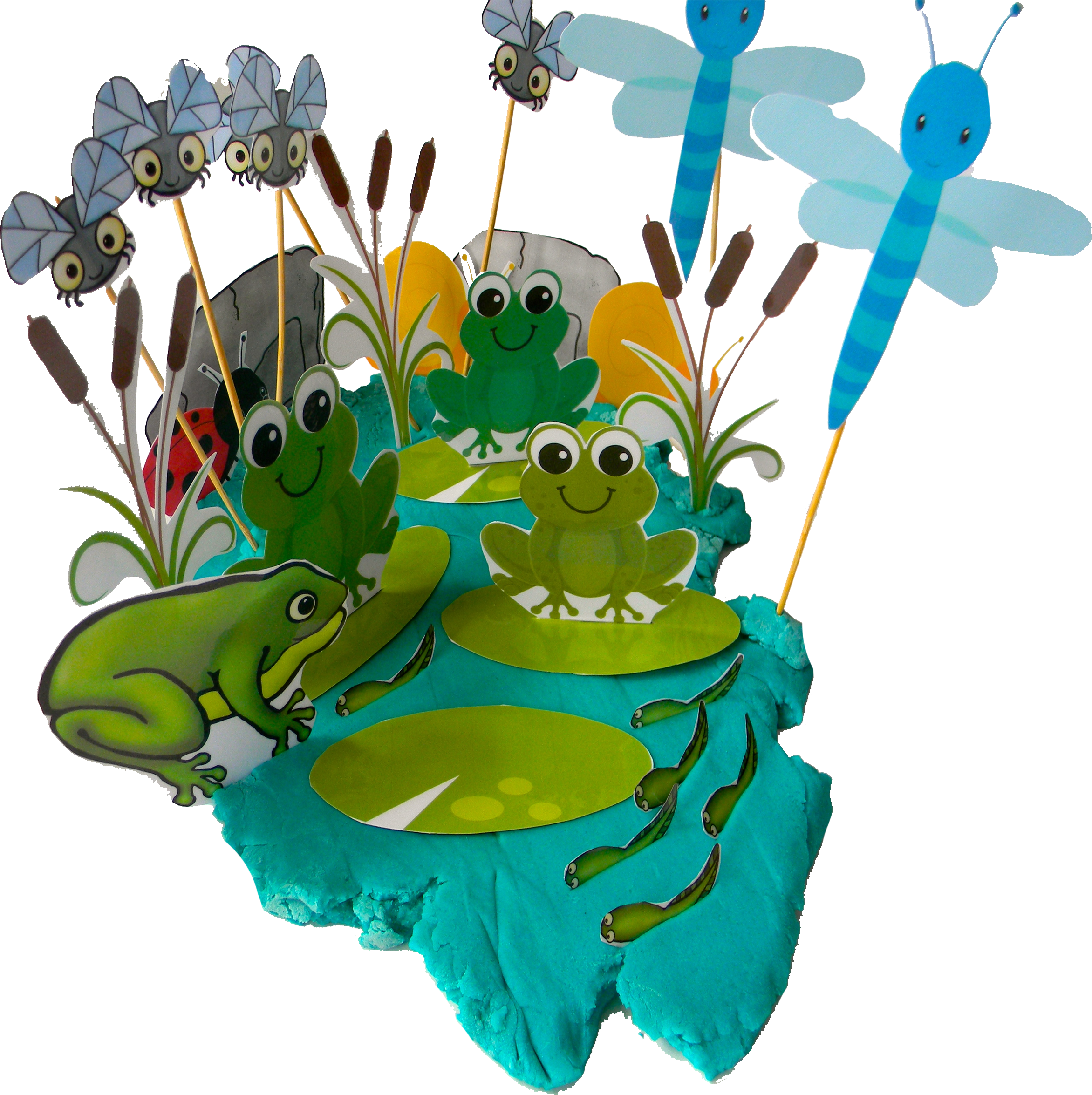 Frog Pond For Play Dough - Frog (2400x2400)