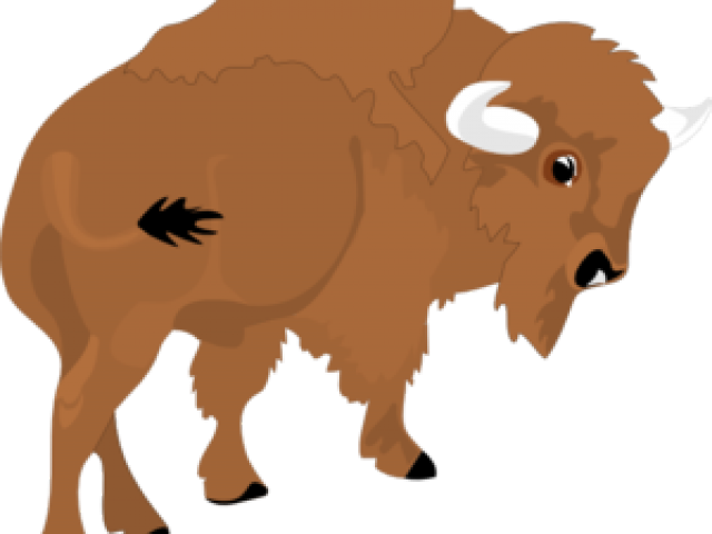 Bison Clipart Yak - Cartoon Bison (640x480)