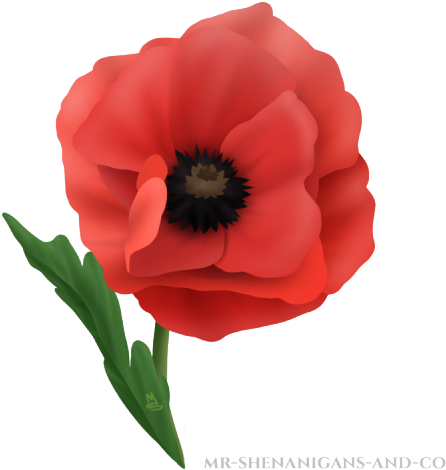 7, Backgrounds Category - Corn Poppy (500x500)