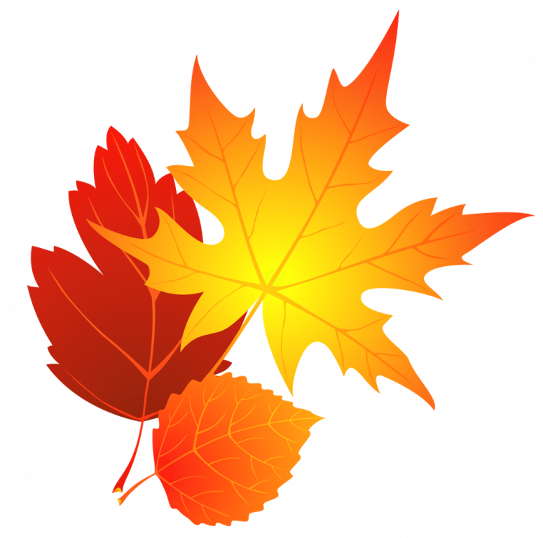 Free Fall Leaf Clip Art Best Fall Leaves Clip Art Design - Fall Leaves (775x768)