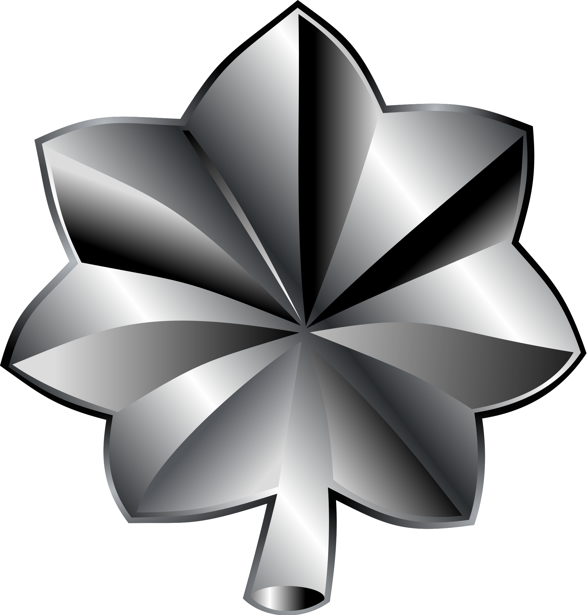 Lieutenant Colonel - Lieutenant Colonel Rank (2000x2096)