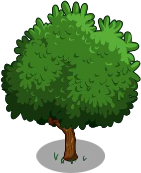 Bonsai Garden Farmville - Cashew Tree (300x400)