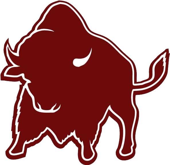 West Texas A&m Logo - West Texas A&m Buffalo (592x592)
