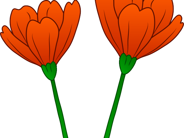 Poppy Clipart 2 Flower - Poppy Flower Clip Art (640x480)