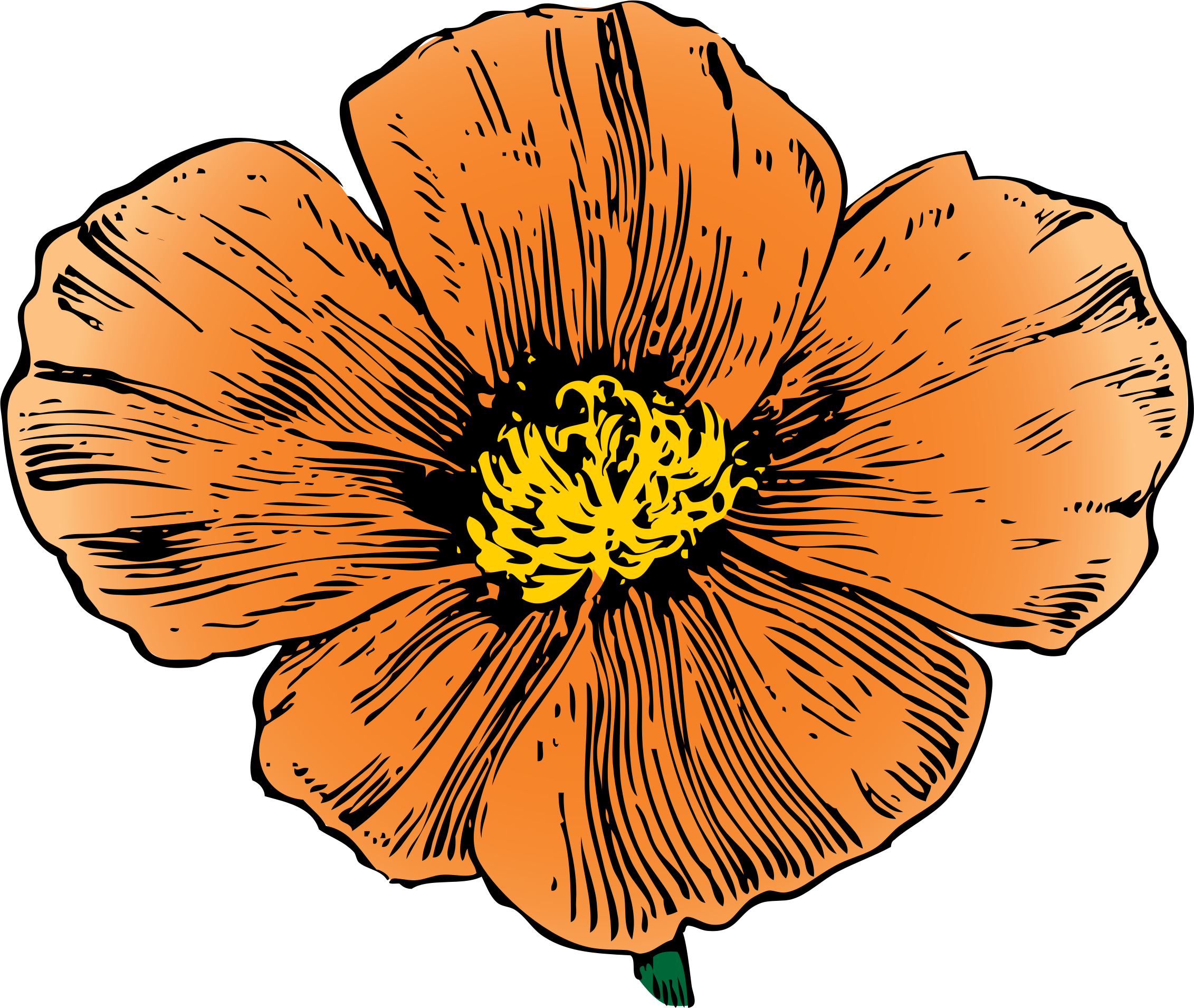 Big Image - California Poppy Png (2263x1910)