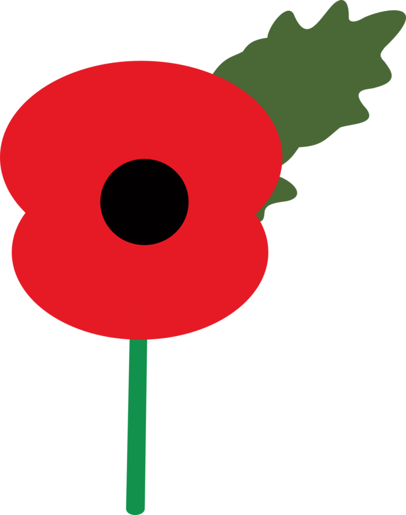 Remembrance Poppy By Perplexedpegasus - Remembrance Poppy By Perplexedpegasus (794x1007)